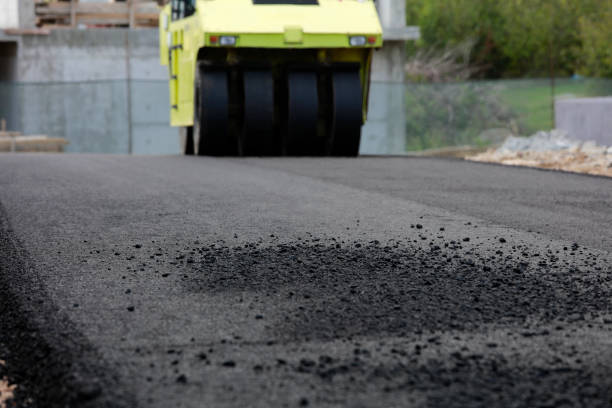 Best Local Driveway Pavers  in Bogota, NJ